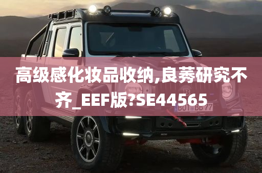 高级感化妆品收纳,良莠研究不齐_EEF版?SE44565