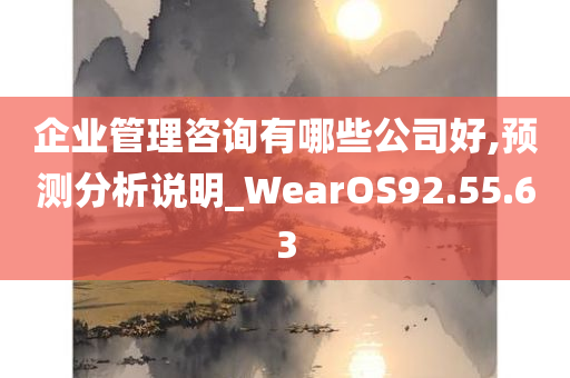 企业管理咨询有哪些公司好,预测分析说明_WearOS92.55.63