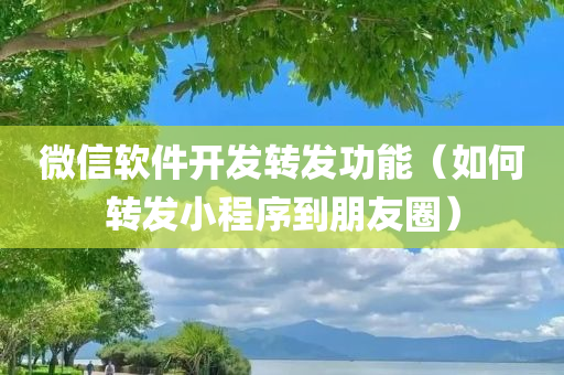 微信软件开发转发功能（如何转发小程序到朋友圈）