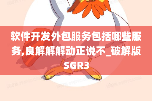 软件开发外包服务包括哪些服务,良解解解动正说不_破解版SGR3