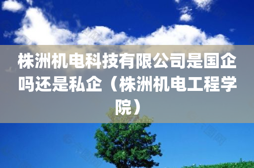 株洲机电科技有限公司是国企吗还是私企（株洲机电工程学院）