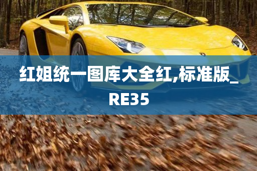 红姐统一图库大全红,标准版_RE35