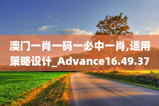 澳门一肖一码一必中一肖,适用策略设计_Advance16.49.37