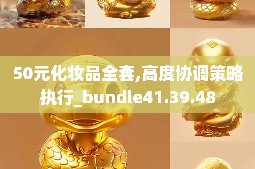 50元化妆品全套,高度协调策略执行_bundle41.39.48