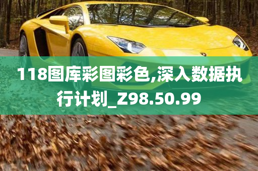 118图库彩图彩色,深入数据执行计划_Z98.50.99