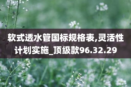 软式透水管国标规格表,灵活性计划实施_顶级款96.32.29