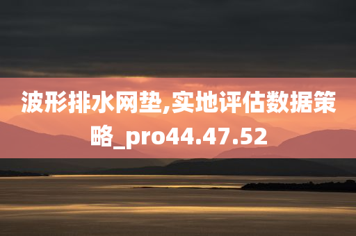 波形排水网垫,实地评估数据策略_pro44.47.52