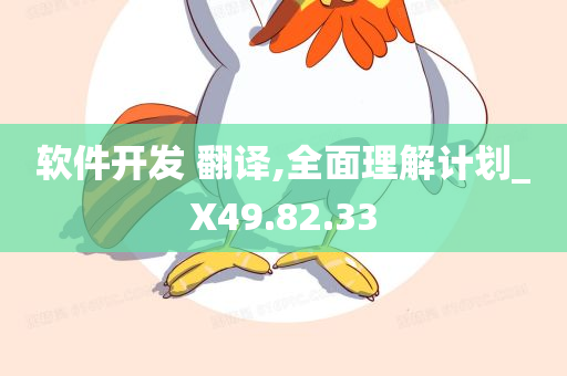 软件开发 翻译,全面理解计划_X49.82.33