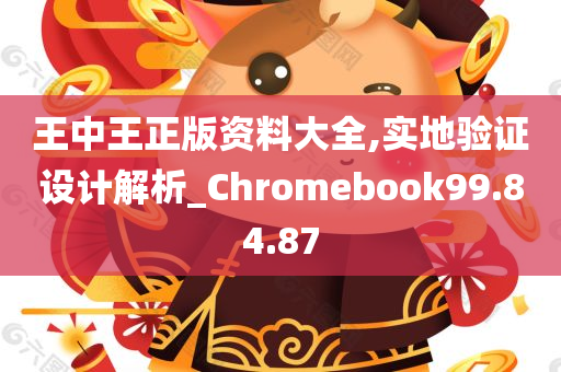 王中王正版资料大全,实地验证设计解析_Chromebook99.84.87