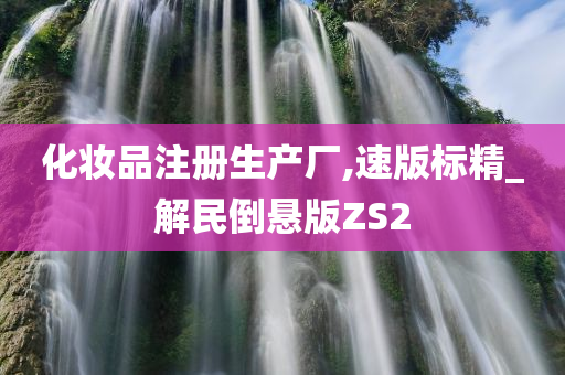 化妆品注册生产厂,速版标精_解民倒悬版ZS2