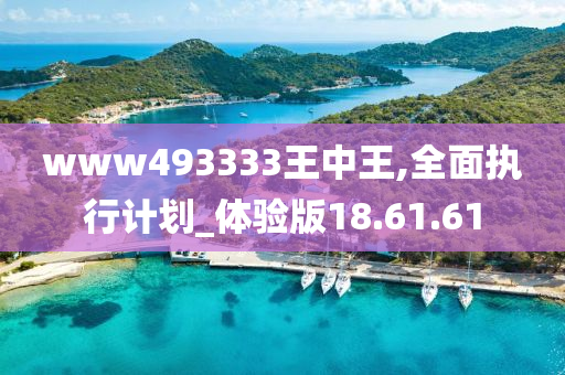 www493333王中王,全面执行计划_体验版18.61.61