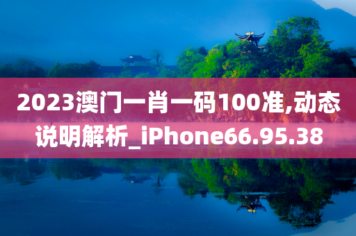 2023澳门一肖一码100准,动态说明解析_iPhone66.95.38