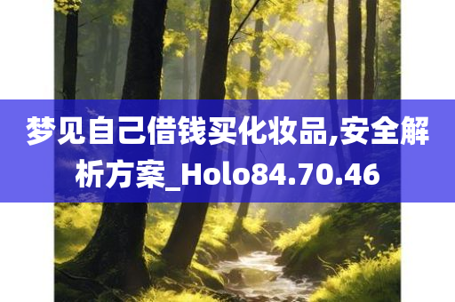 梦见自己借钱买化妆品,安全解析方案_Holo84.70.46