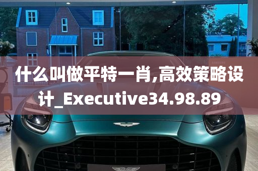 什么叫做平特一肖,高效策略设计_Executive34.98.89