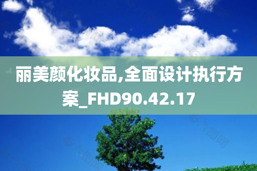 丽美颜化妆品,全面设计执行方案_FHD90.42.17