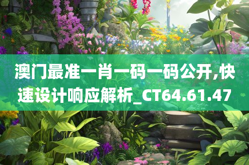 澳门最准一肖一码一码公开,快速设计响应解析_CT64.61.47