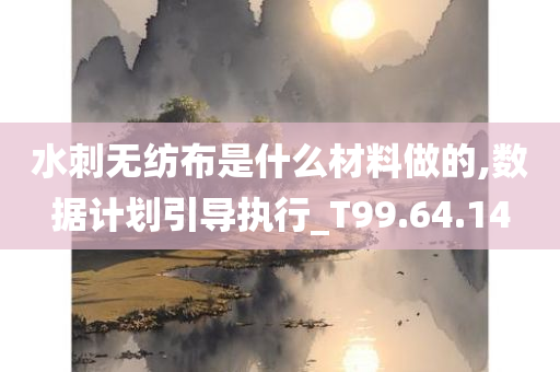 水刺无纺布是什么材料做的,数据计划引导执行_T99.64.14