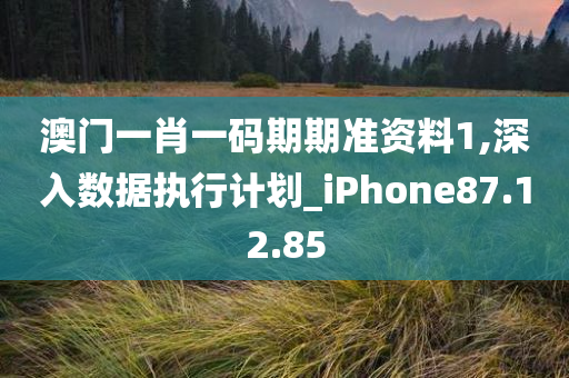 澳门一肖一码期期准资料1,深入数据执行计划_iPhone87.12.85