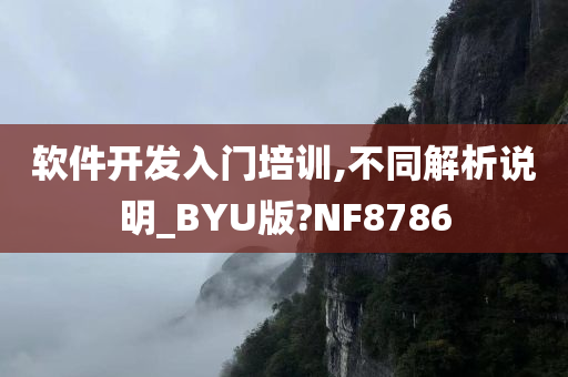 软件开发入门培训,不同解析说明_BYU版?NF8786