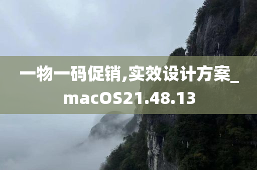 一物一码促销,实效设计方案_macOS21.48.13