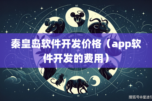 秦皇岛软件开发价格（app软件开发的费用）