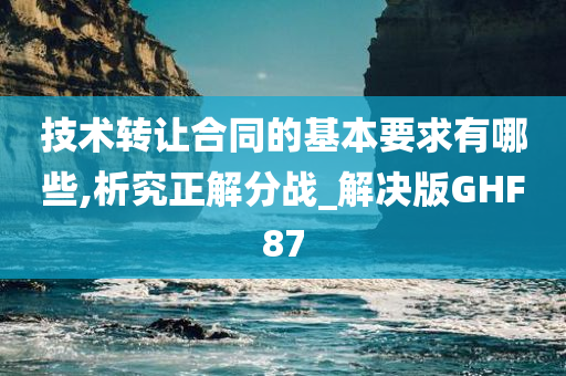 技术转让合同的基本要求有哪些,析究正解分战_解决版GHF87