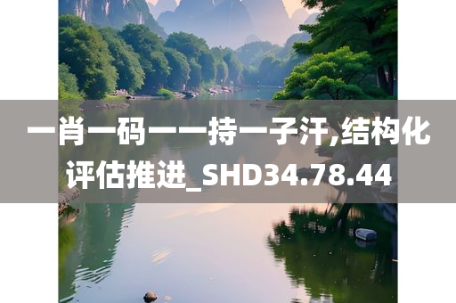 一肖一码一一持一子汗,结构化评估推进_SHD34.78.44