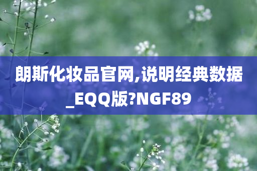 朗斯化妆品官网,说明经典数据_EQQ版?NGF89