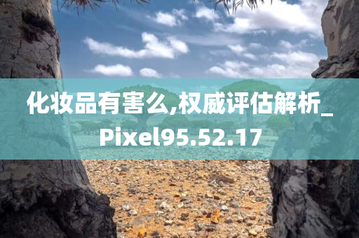 化妆品有害么,权威评估解析_Pixel95.52.17