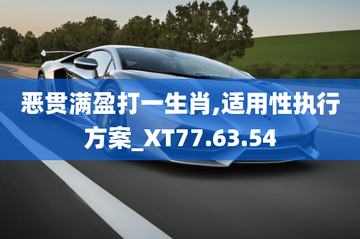 恶贯满盈打一生肖,适用性执行方案_XT77.63.54