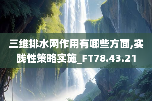 三维排水网作用有哪些方面,实践性策略实施_FT78.43.21