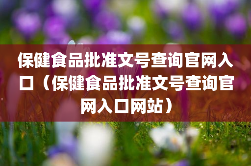 保健食品批准文号查询官网入口（保健食品批准文号查询官网入口网站）