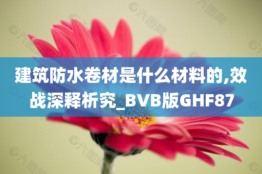 建筑防水卷材是什么材料的,效战深释析究_BVB版GHF87