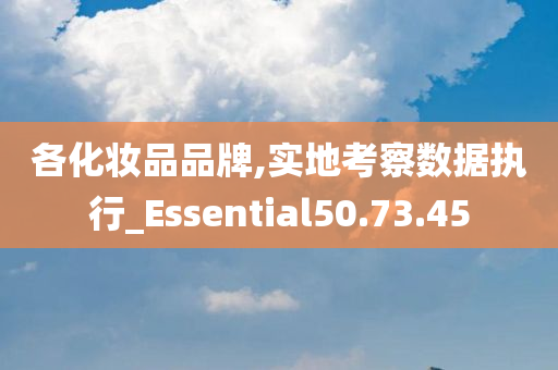 各化妆品品牌,实地考察数据执行_Essential50.73.45