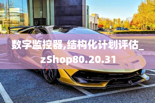 数字监控器,结构化计划评估_zShop80.20.31