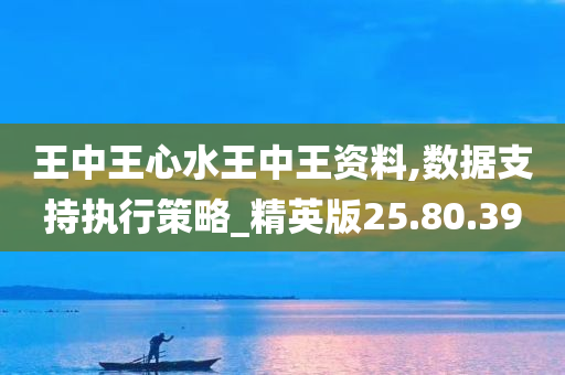 王中王心水王中王资料,数据支持执行策略_精英版25.80.39