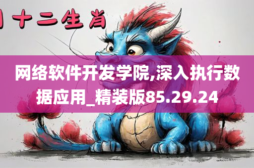 网络软件开发学院,深入执行数据应用_精装版85.29.24