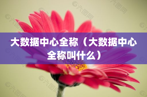 大数据中心全称（大数据中心全称叫什么）