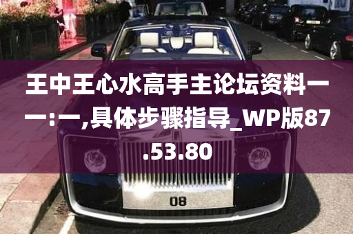 王中王心水高手主论坛资料一一:一,具体步骤指导_WP版87.53.80