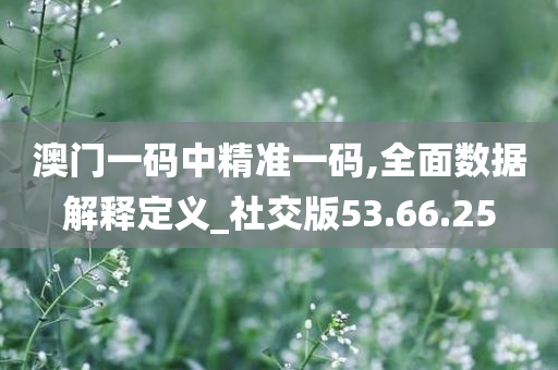 澳门一码中精准一码,全面数据解释定义_社交版53.66.25