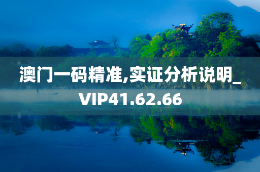 澳门一码精准,实证分析说明_VIP41.62.66