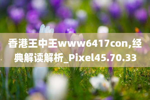 香港王中王www6417con,经典解读解析_Pixel45.70.33