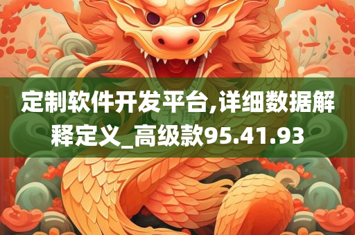 定制软件开发平台,详细数据解释定义_高级款95.41.93