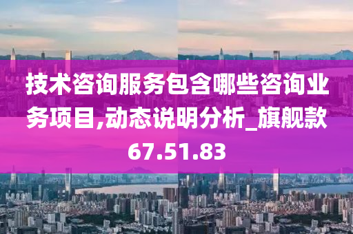 技术咨询服务包含哪些咨询业务项目,动态说明分析_旗舰款67.51.83