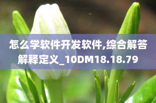 怎么学软件开发软件,综合解答解释定义_10DM18.18.79