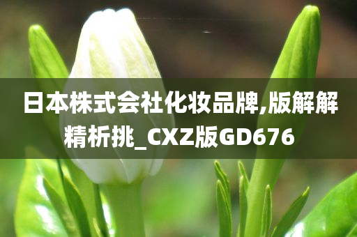 日本株式会社化妆品牌,版解解精析挑_CXZ版GD676