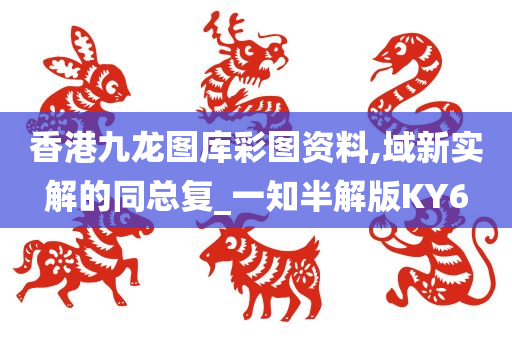 香港九龙图库彩图资料,域新实解的同总复_一知半解版KY6