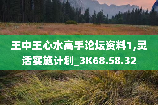 王中王心水高手论坛资料1,灵活实施计划_3K68.58.32