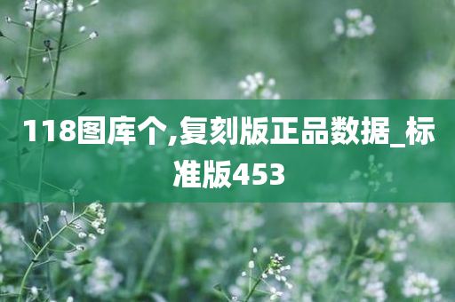 118图库个,复刻版正品数据_标准版453