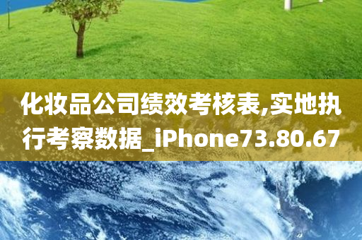 化妆品公司绩效考核表,实地执行考察数据_iPhone73.80.67